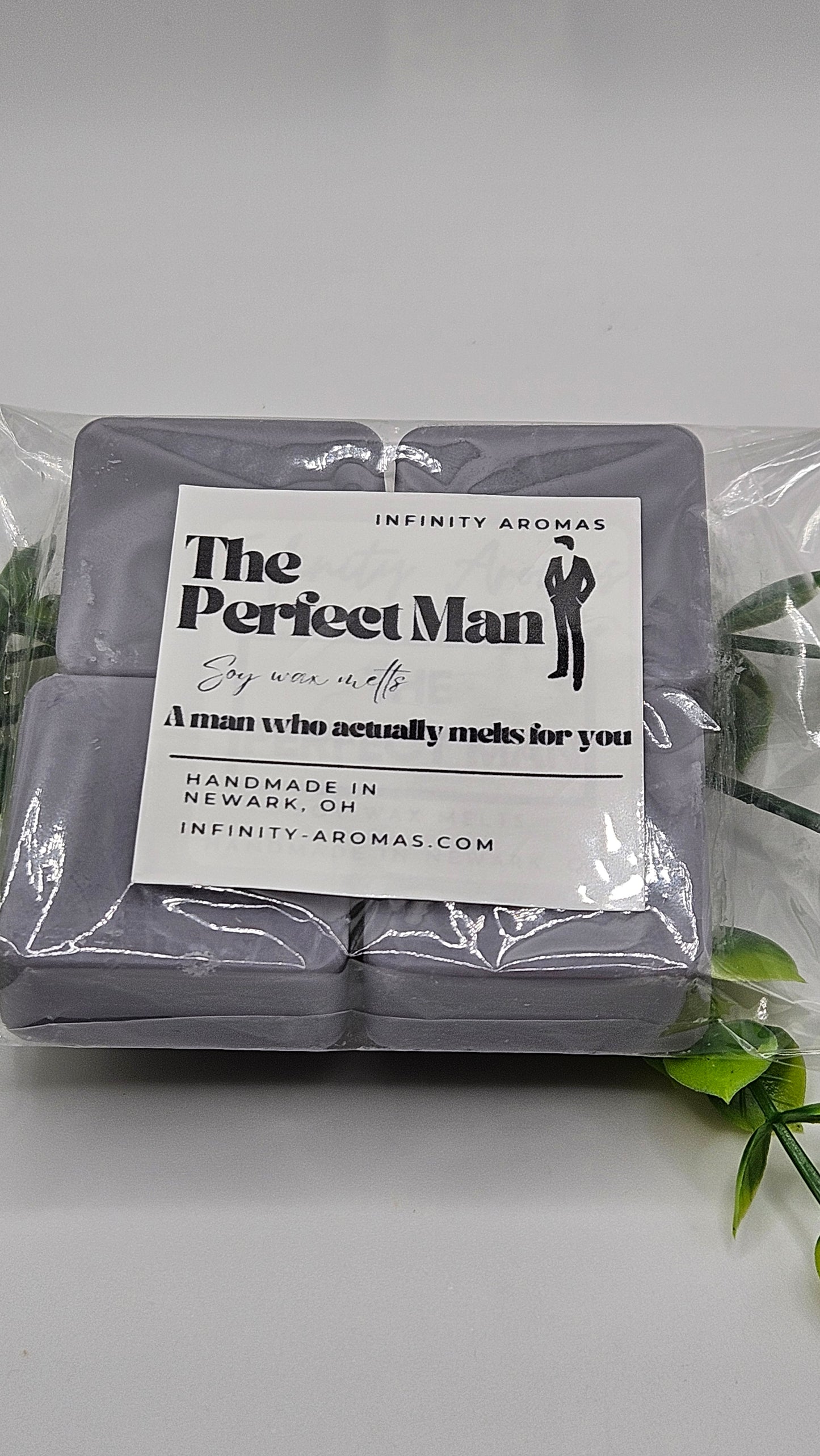 The Perfect Man Wax Melts